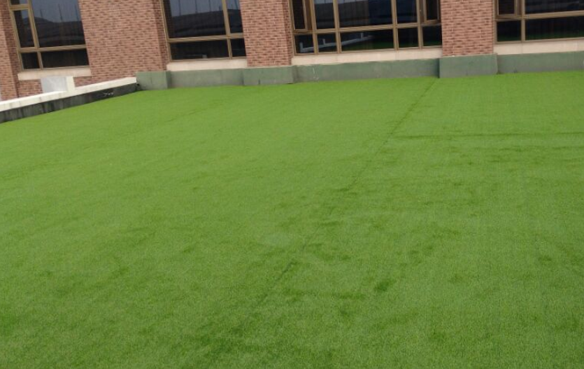 1744190051152733.png 人工草坪