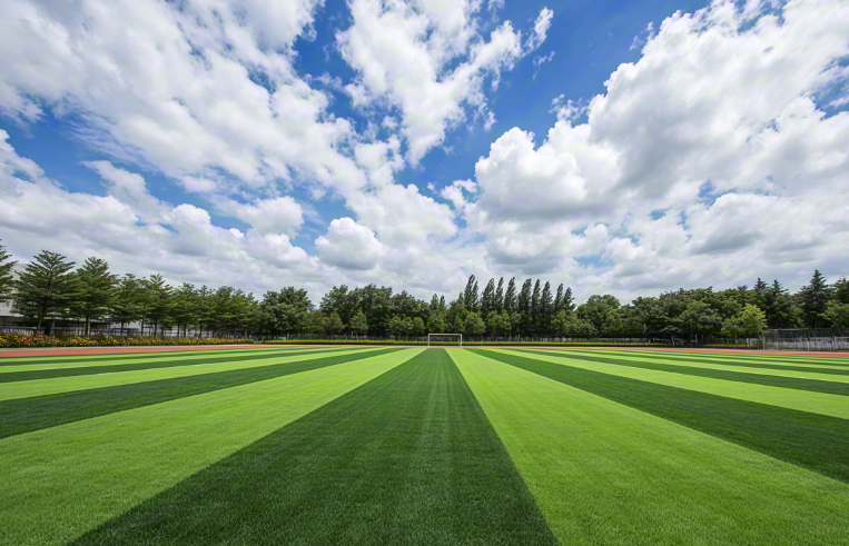 1744788849360575.png 仿真草坪