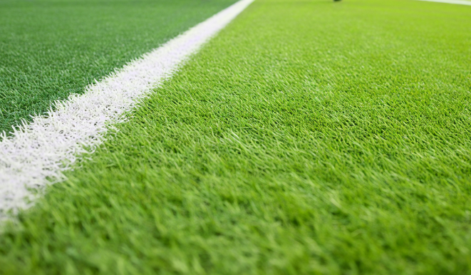 1745478225408118.png 人工草坪