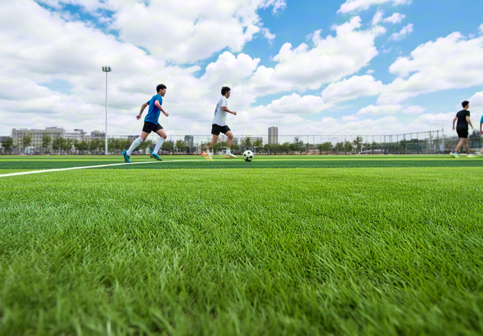 1750754067101042.png 仿真草坪