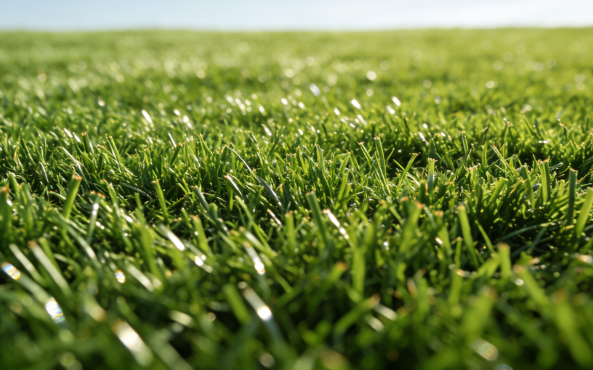 1766744125195896.png 人工草坪