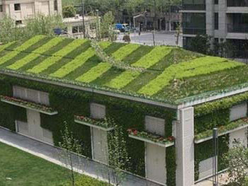 屋頂綠化覆土厚度