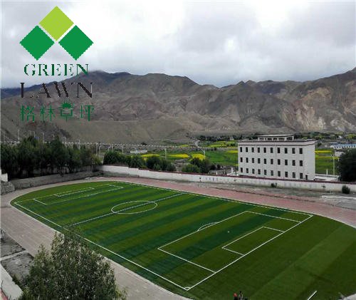 西藏措美縣中學足球場